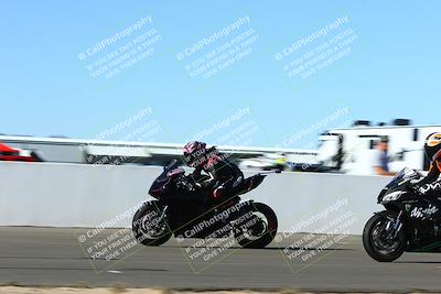 media/Jan-09-2022-SoCal Trackdays (Sun) [[2b1fec8404]]/Front Straight Speed Shots (1pm)/